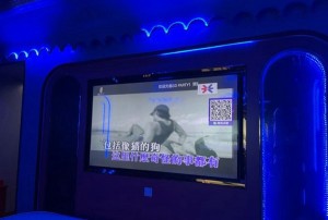 招聘内部培训文案（重塑企业成长：内部招聘与培训策略新视角）