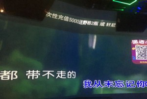 上海可爱风格公司招聘网站来袭