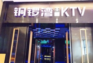 boss招聘技师文案（诚邀技师加入，共创卓越服务团队）